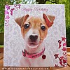 Pretty in Pink Jack Russell Birthday Card